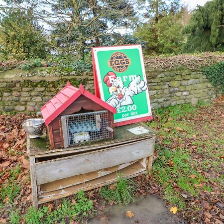 Carvin-tor * Great Langton